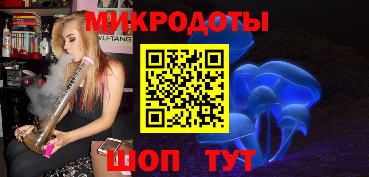 Галлюциногенные грибы Psilocybe Кинешма