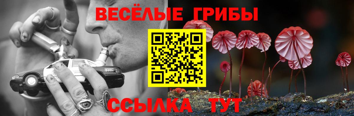 Кинешма  Псилоцибиновые грибы MAGIC MUSHROOMS  Вход с VPN 